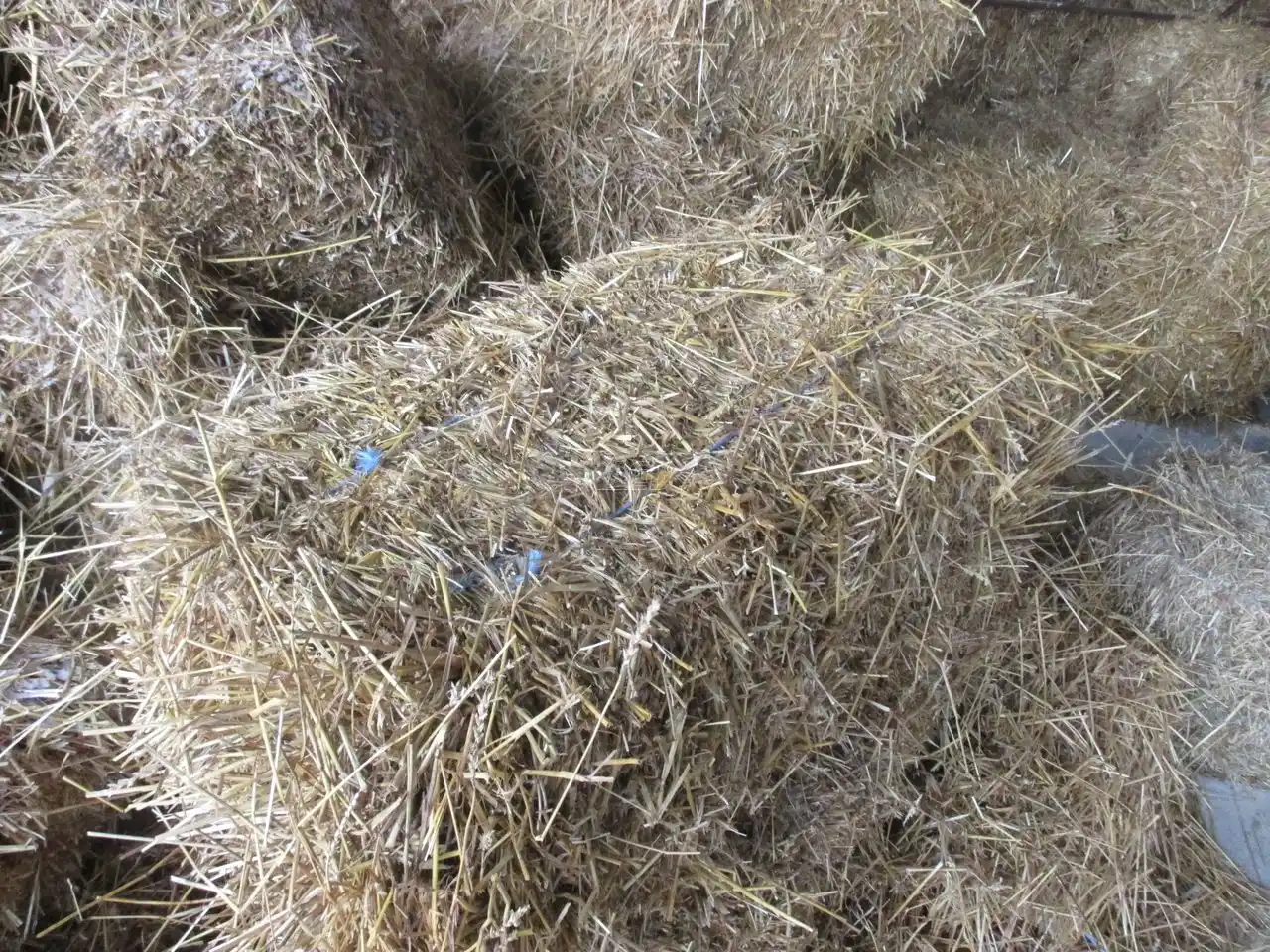 Gallery image 2 for Used Square Bales Square Baler - Small