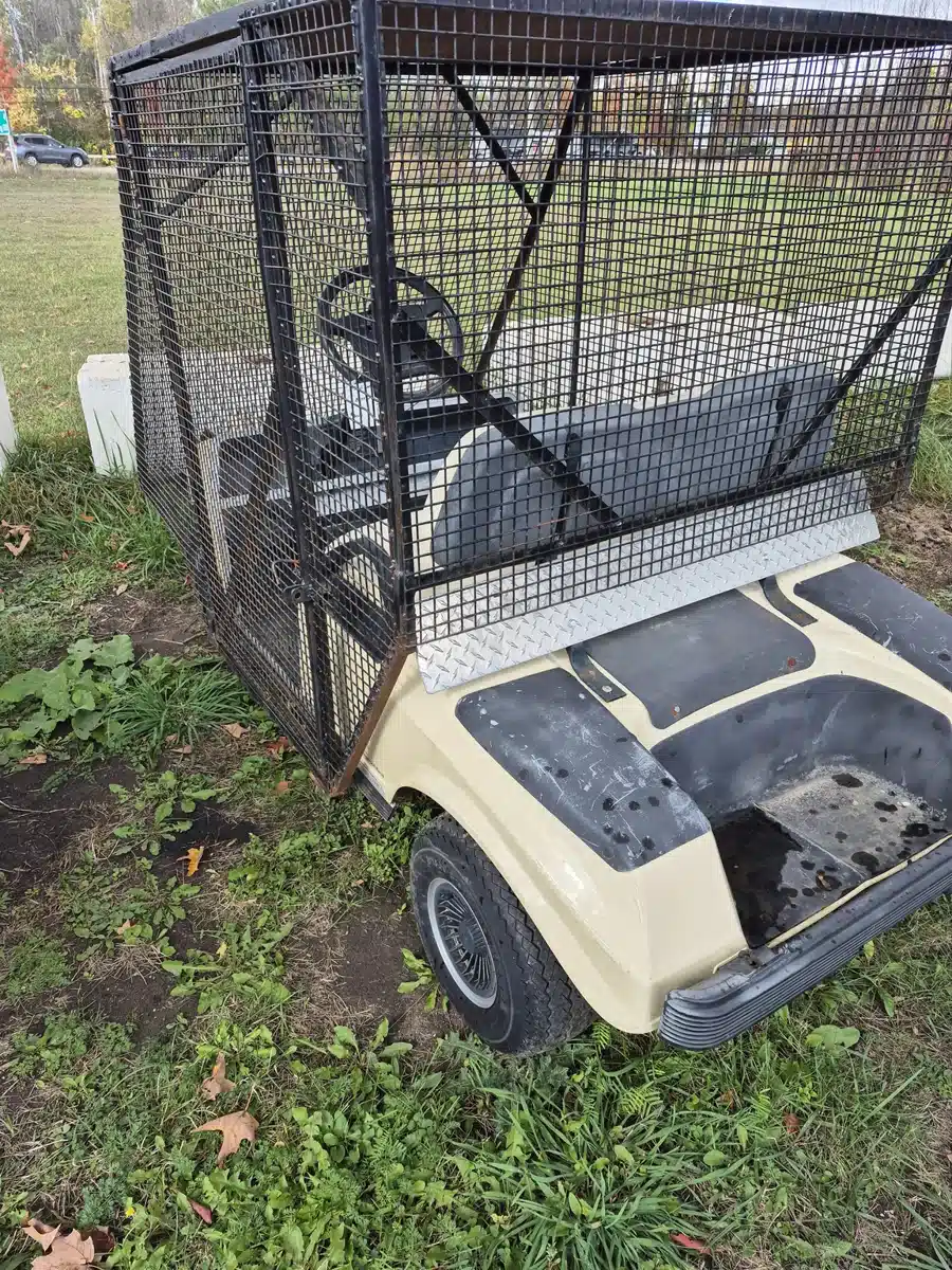 Gallery image 2 for Club Car DS Golf Cart