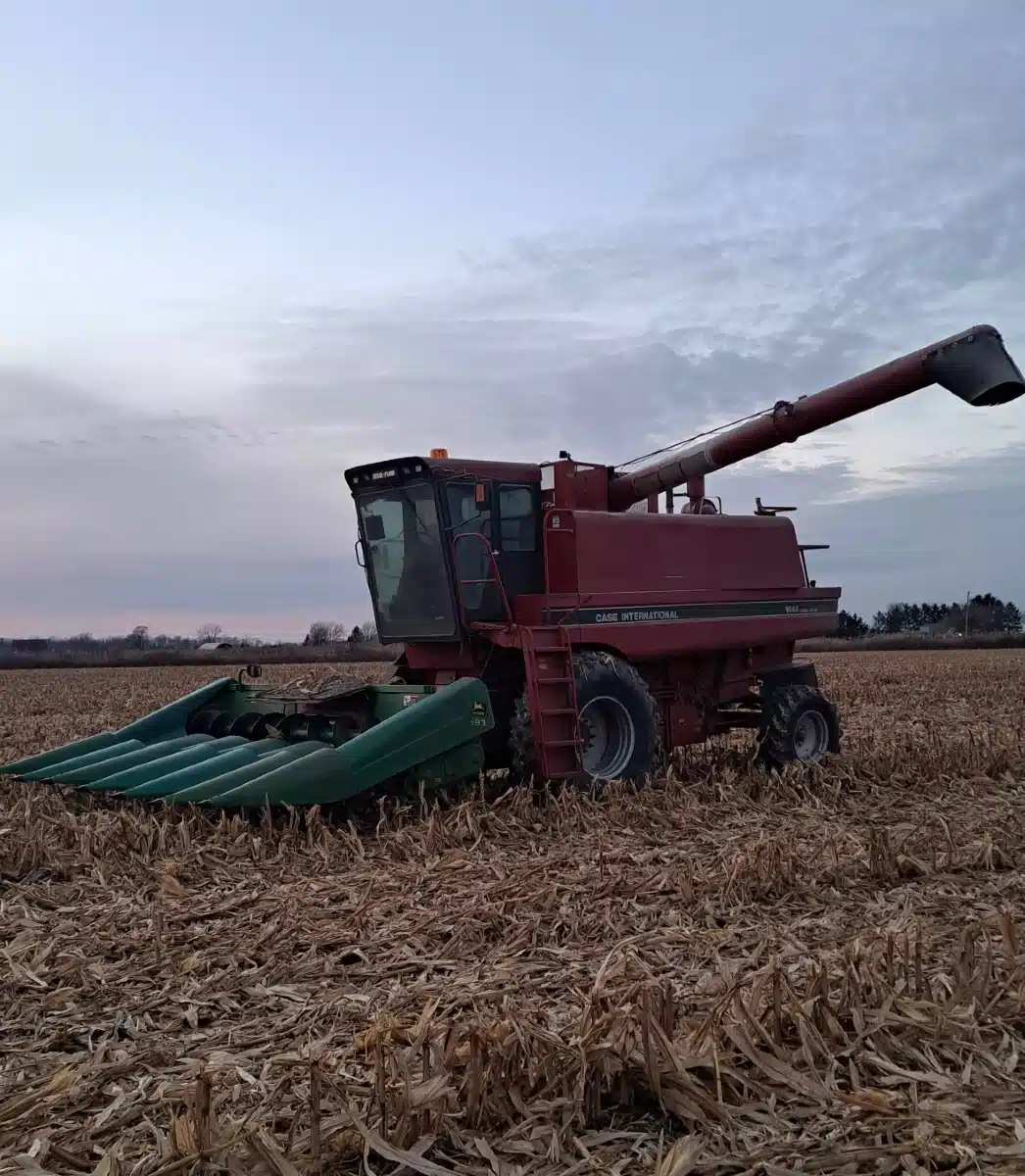 Photo de la Galerie 1 pour Case IH 1644 Batteuse