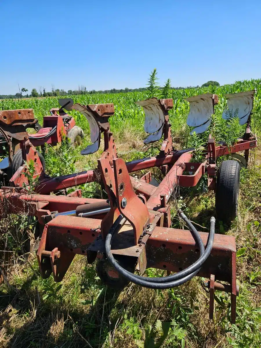 Gallery image 2 for Used White 6342 Plow