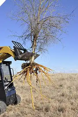 Gallery image 2 for New Hoelscher Grader