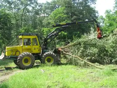 Gallery image 2 for New NAARVA K25, pour tracteur de 50-60hp, ou pelle de 5-8 tonnes, coupe 10 Harvester Head