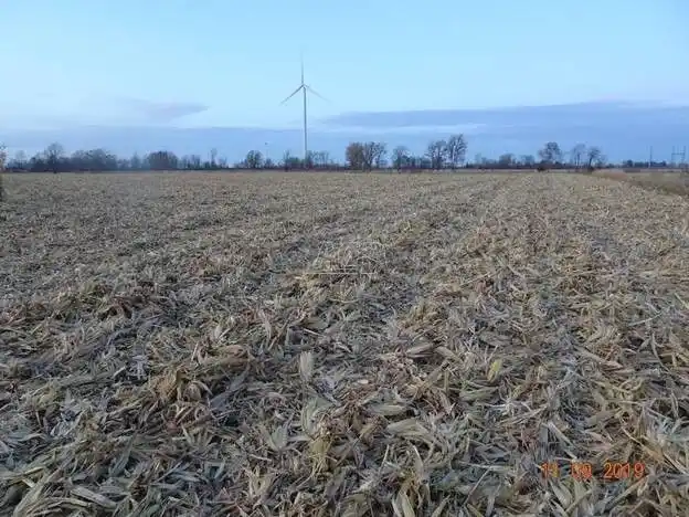 Gallery image 2 for Used White 709 Header - Row Crop