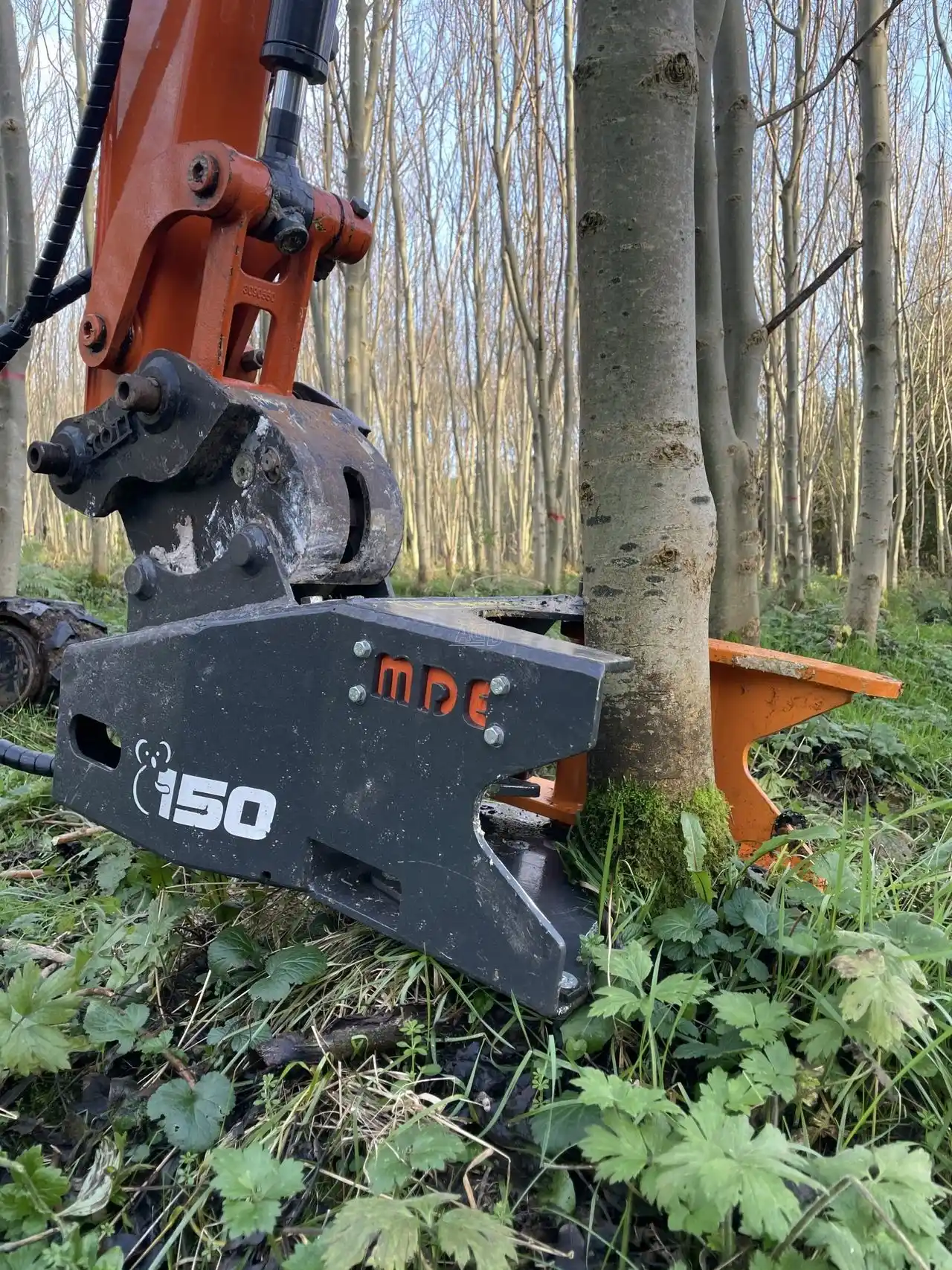 Gallery image 1 for New 2025 MDE Machinery KOALA K150 Tree Shears