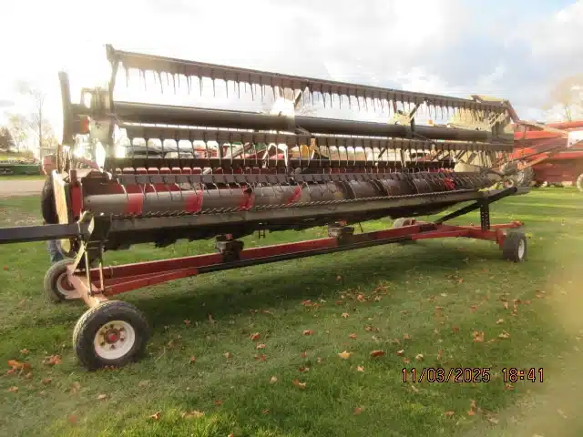 Used Case IH 1020 Header - Flex