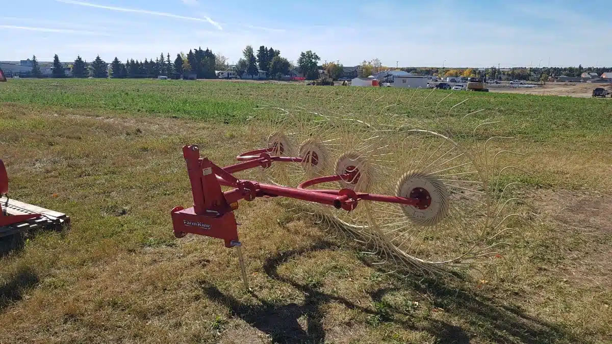 Gallery image 2 for New Farm King 4-wheel Rake