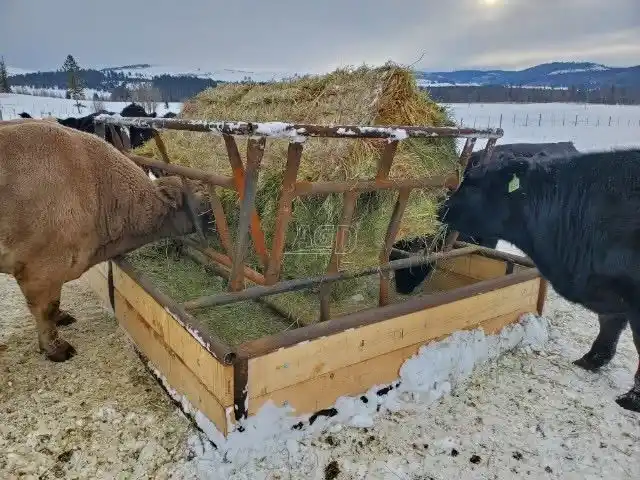 Gallery image 1 for New 2025 Unspecified Misc Feeder