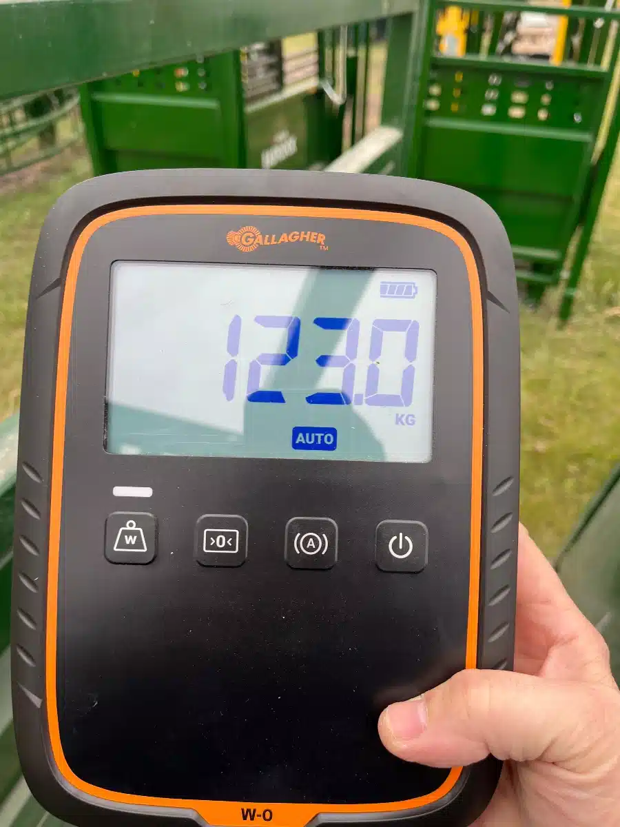 Gallery image 2 for Used Arrowquip 8' ally with scale Scale