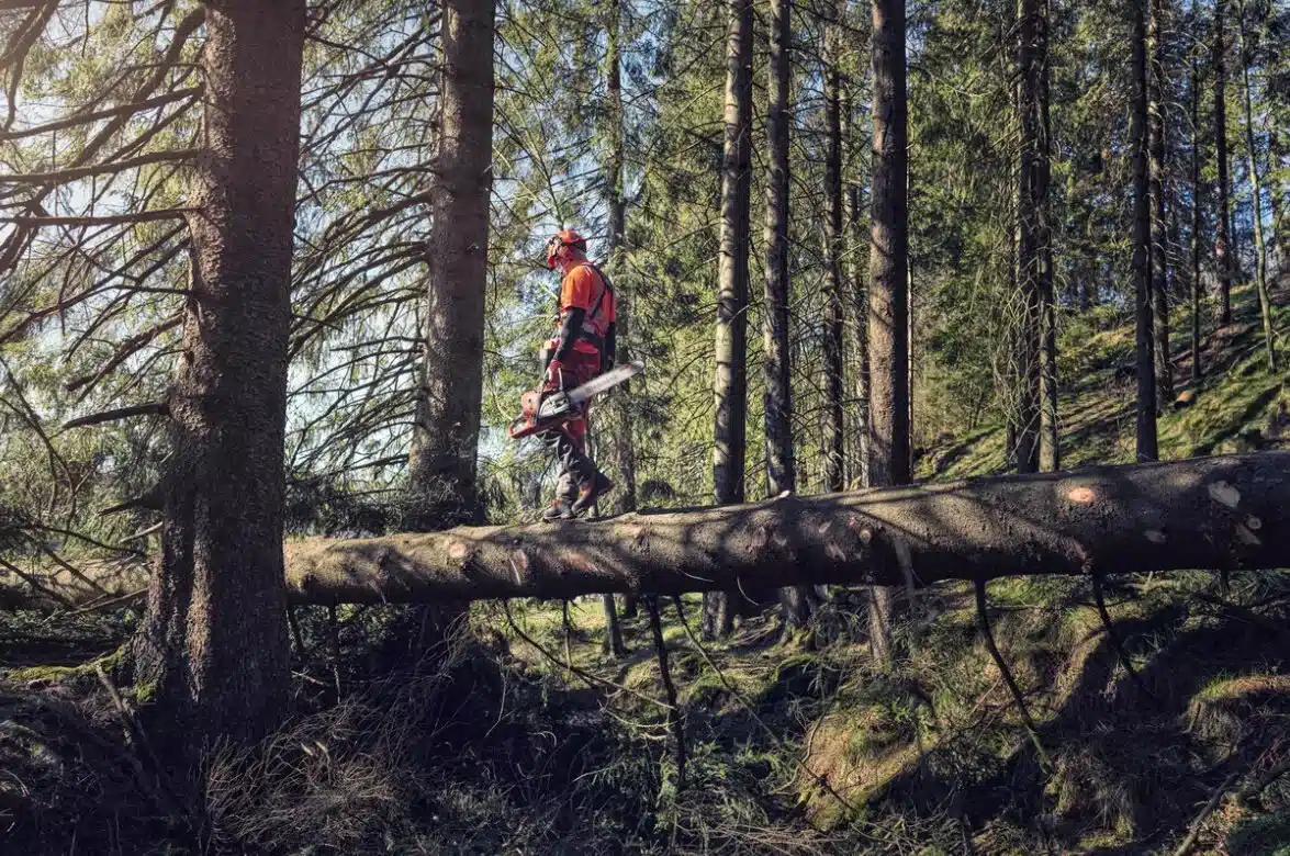 Gallery image 2 for New 2024 Husqvarna 572 XP Chain Saw