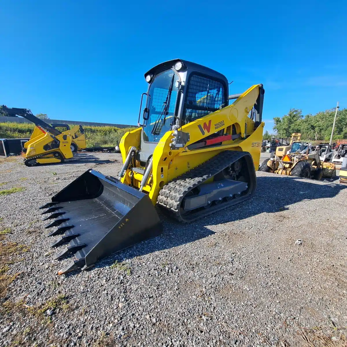 New 2024 Wacker Neuson ST31 Skid Steer