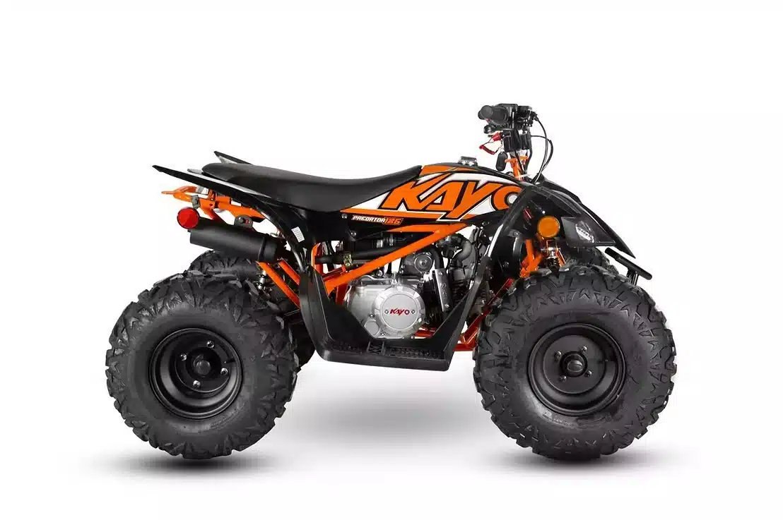 New 2025 Unspecified Predator 125 EFI ATV