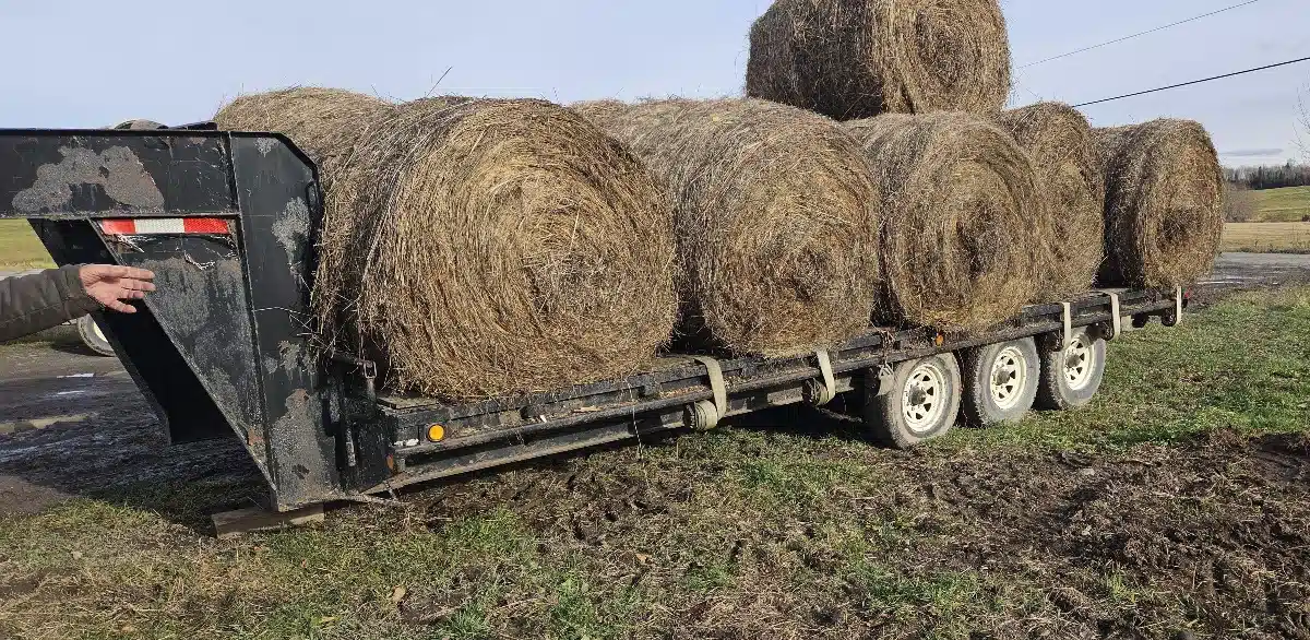 Used Unspecified 822 Trailer