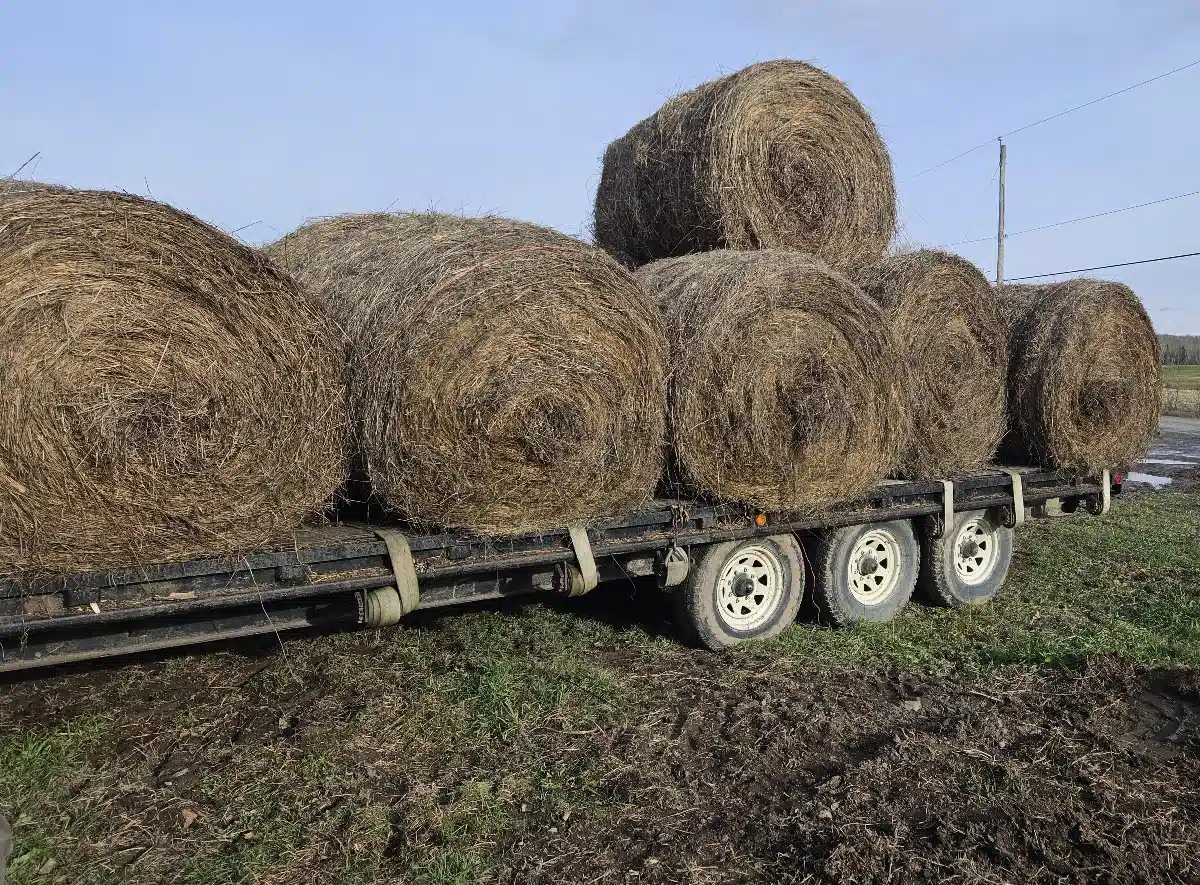 Gallery image 2 for Unspecified 822 Trailer