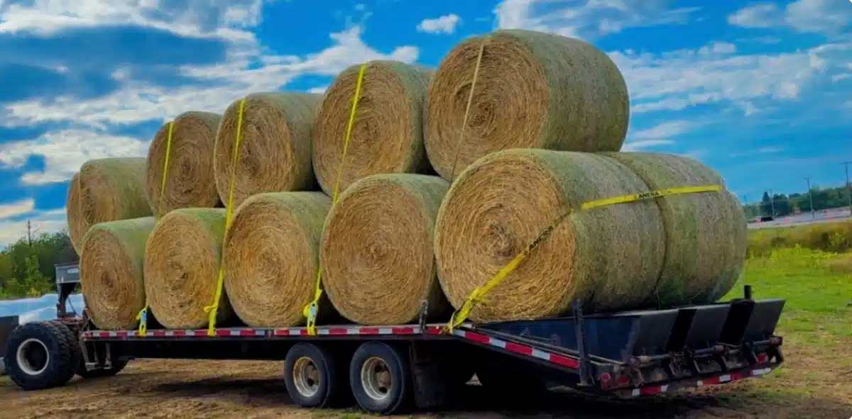 Photo de la Galerie 1 pour Canada Trailers 8.5X35 15 TON GOOSENECK Remorque - Plateforme
