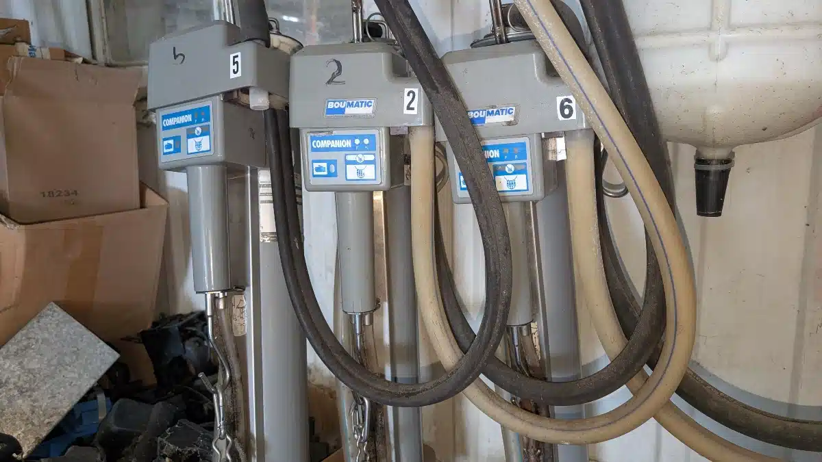 Gallery image 2 for Bou-Matic Companion Dairy Equipment