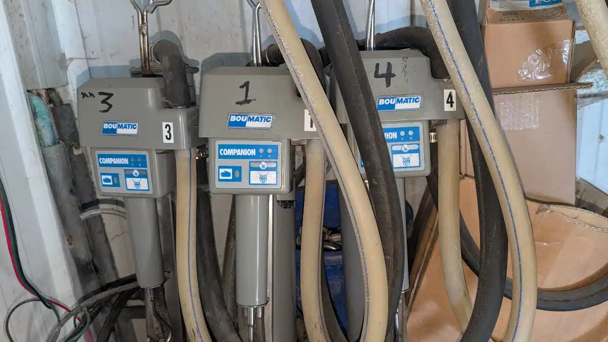 Gallery image 1 for Bou-Matic Companion Dairy Equipment