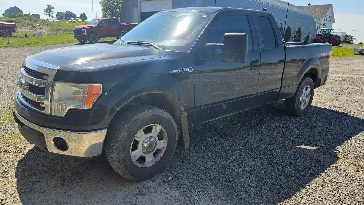 Gallery image 2 for 2013 Ford F-150 Truck - Pickup