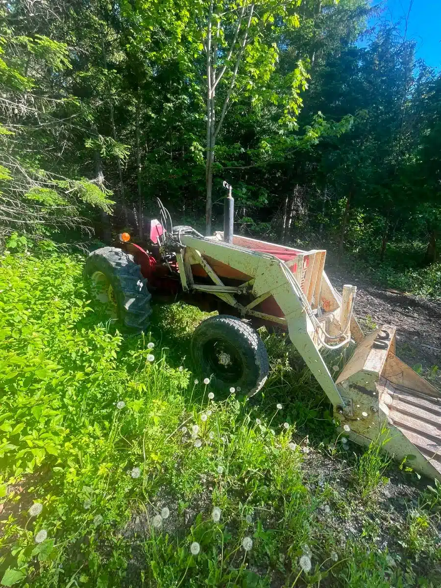Photo de la Galerie 2 pour 1967 International 434 Tracteur