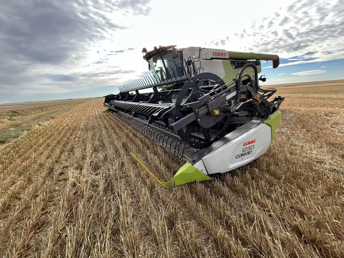 Gallery image 1 for 2019 CLAAS CONVIO 1230 Header - Draper