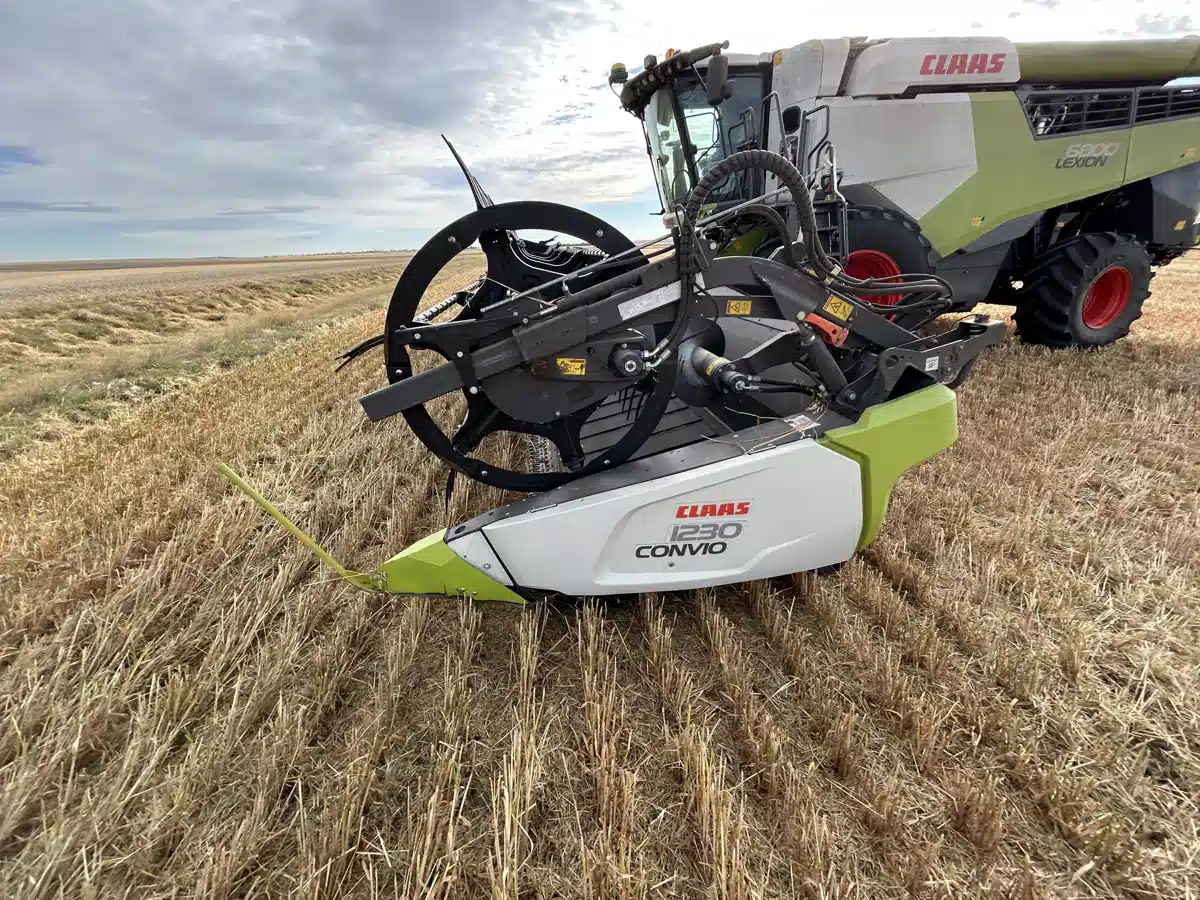 Gallery image 2 for 2019 CLAAS CONVIO 1230 Header - Draper