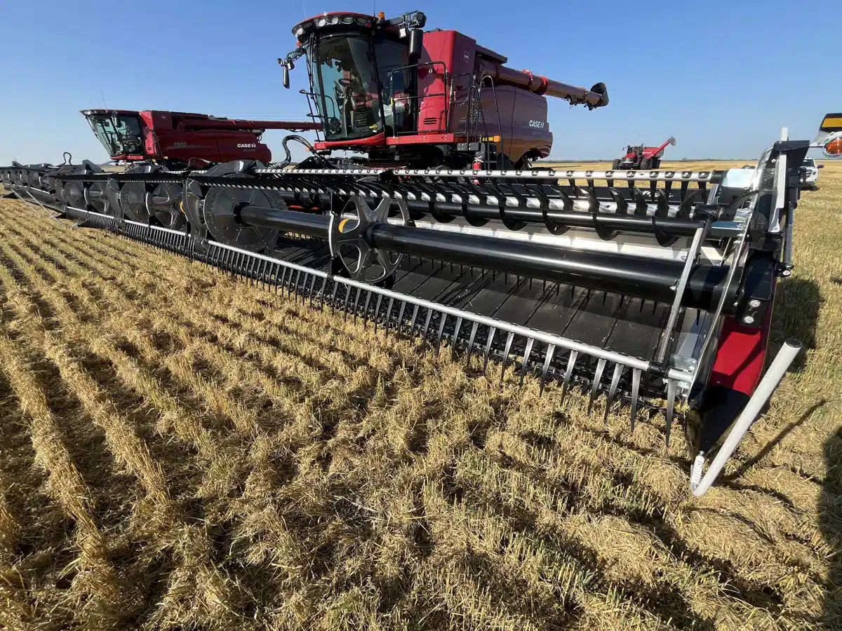 Gallery image 1 for 2025 MacDon FD240 Header - Flex Draper