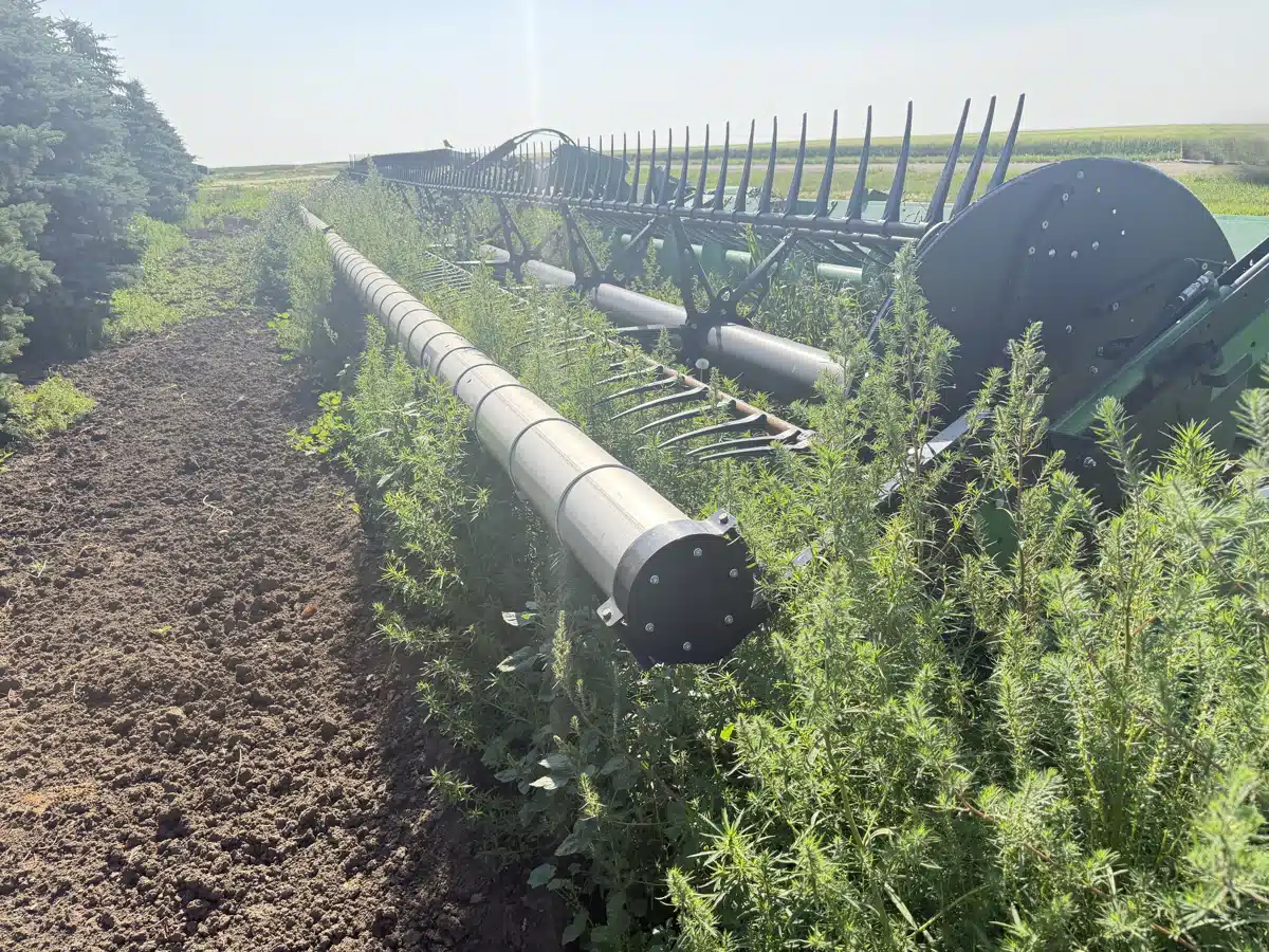 Gallery image 1 for 2023 John Deere HD50F Header - Flex Draper