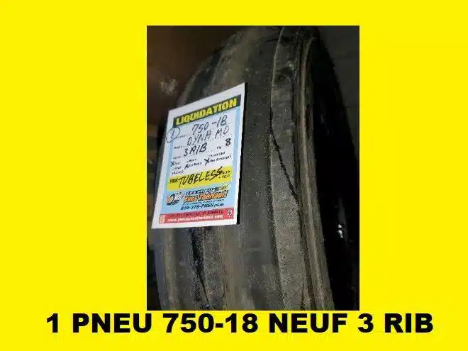 Dynamic 750-18 Tires