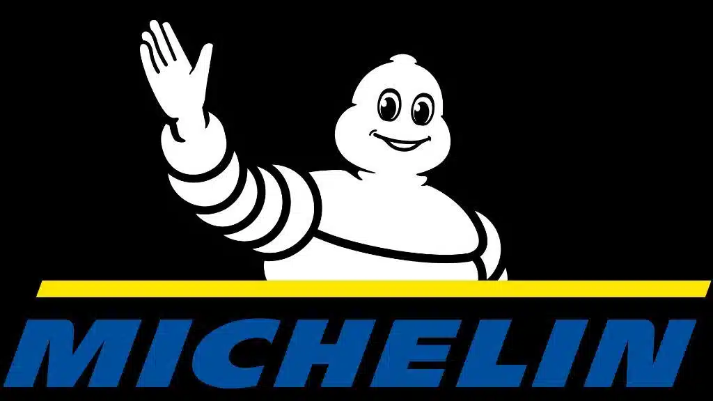 Photo de la Galerie 2 pour Michelin 335-80R18 Pneus