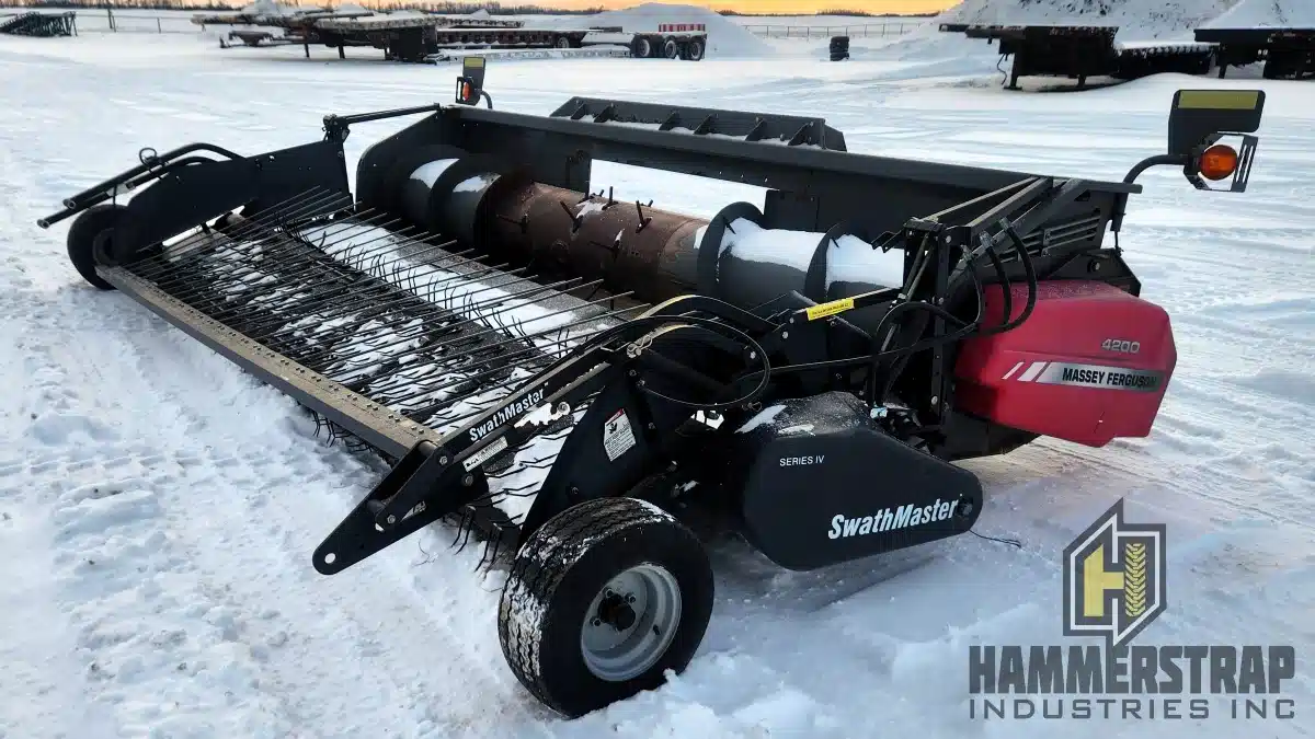 2009 Massey Ferguson 4200 Header - Pickup