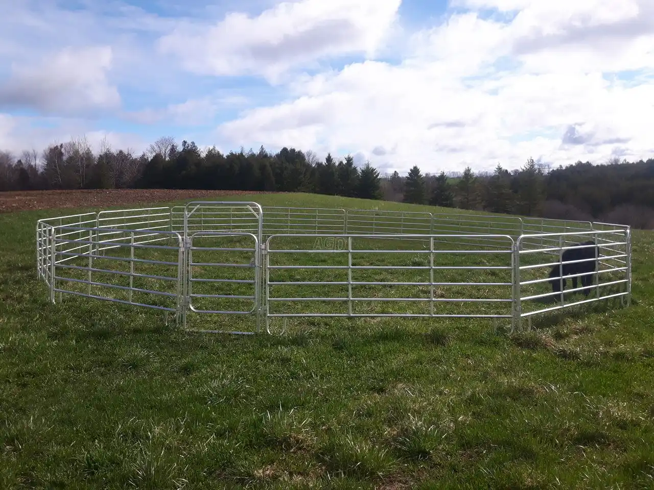Gallery image 1 for aluminum round pens Horse Equipment