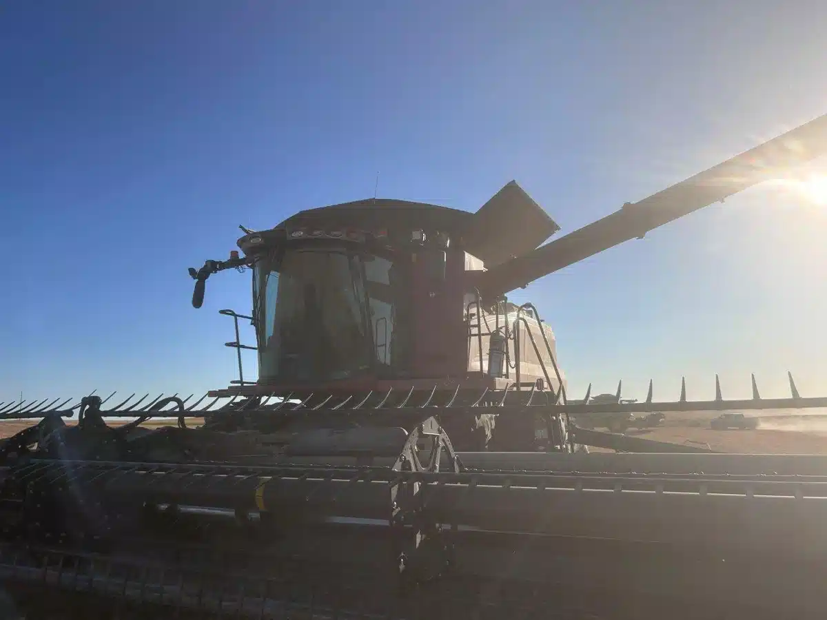 Gallery image 1 for Used 2021 Case IH 8250 Combine