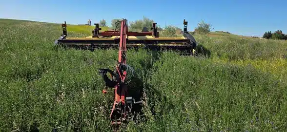 Gallery image 1 for Used 2008 New Holland 1475 Mower Conditioner