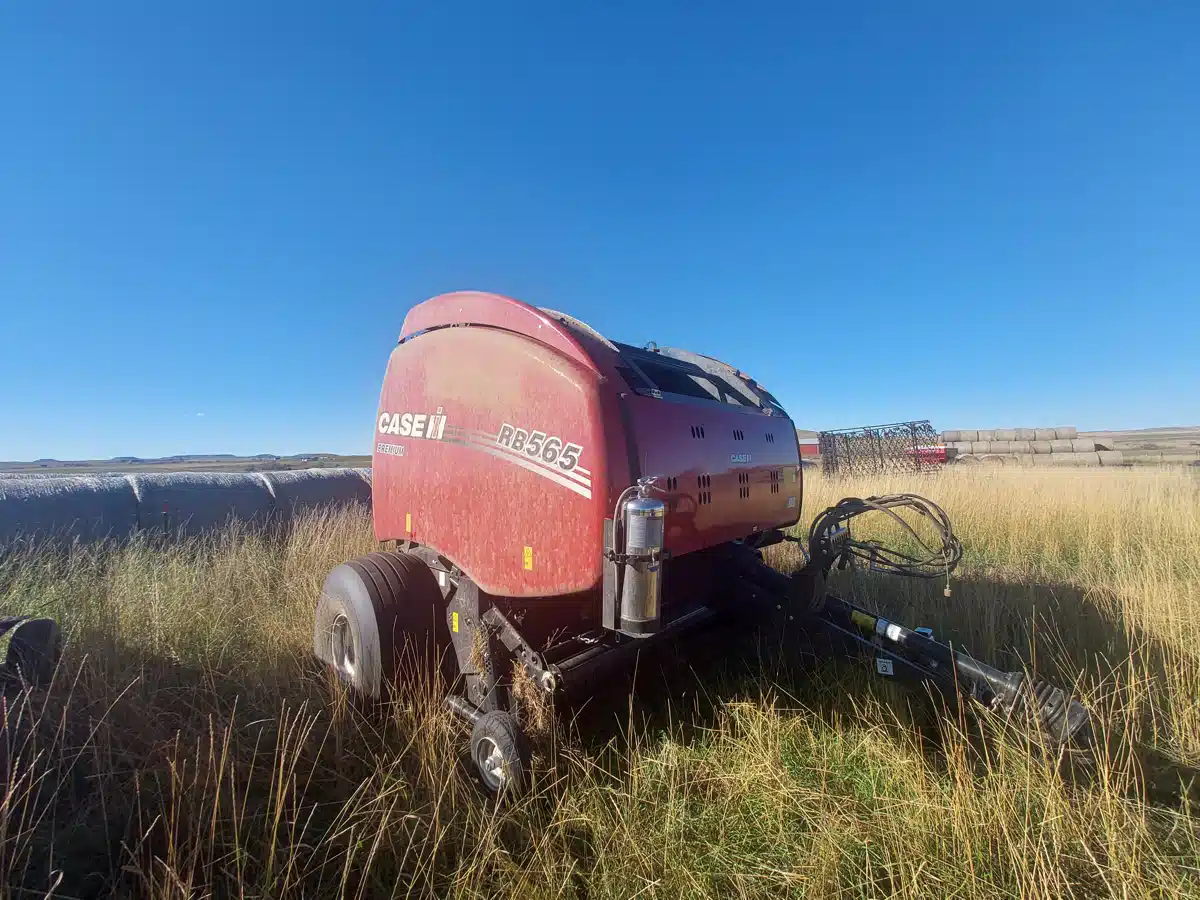 Used 2024 Case IH RB565 Round Baler