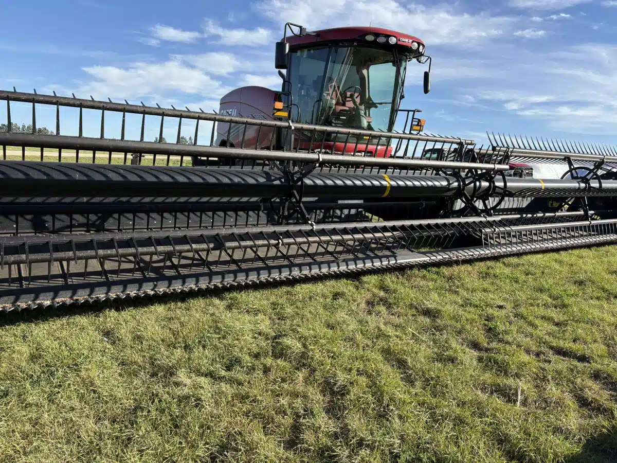 Gallery image 2 for Used 2025 Honey Bee WSC362 Header - Draper