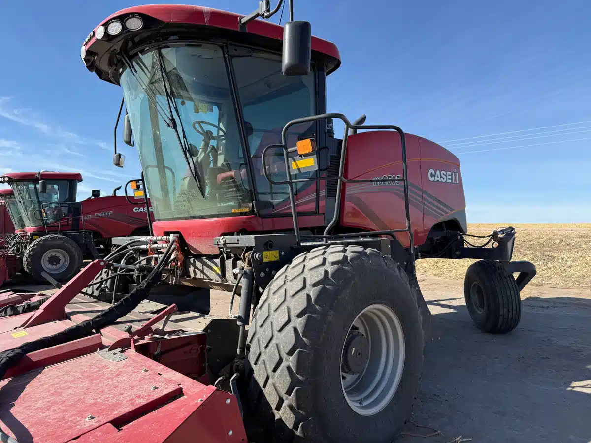 Photo de la Galerie 2 pour 2025 Case IH WD2505 Andaineur