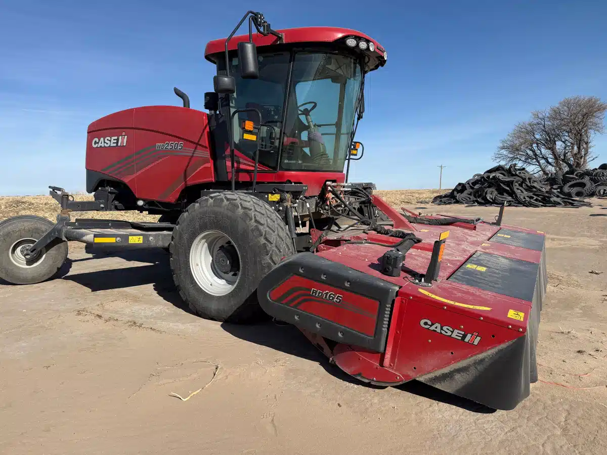 Photo de la Galerie 1 pour 2025 Case IH WD2505 Andaineur