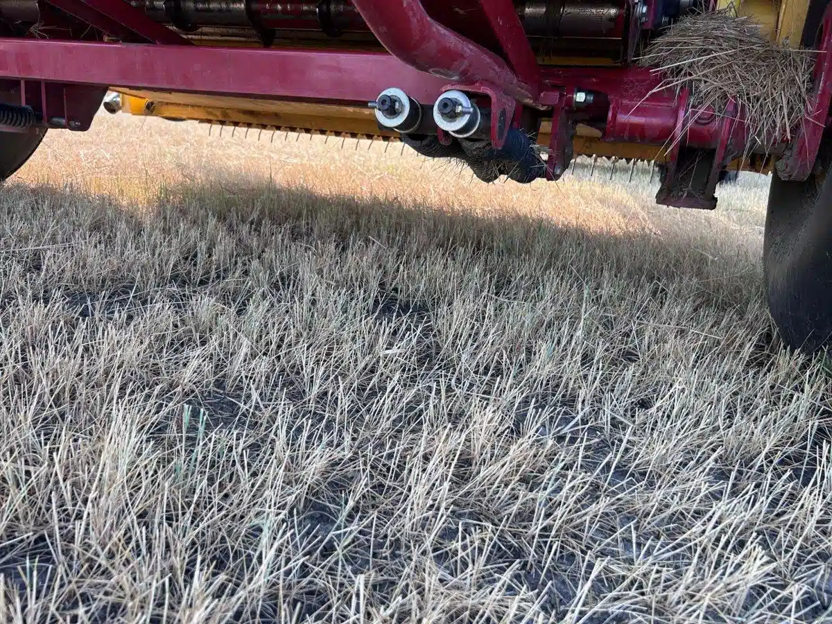Photo de la Galerie 2 pour 2018 New Holland ROLL-BELT 560 Presse à Balle Ronde