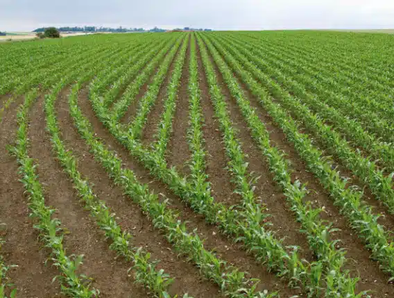 Gallery image 2 for John Deere GS3 Section Control Guidance System