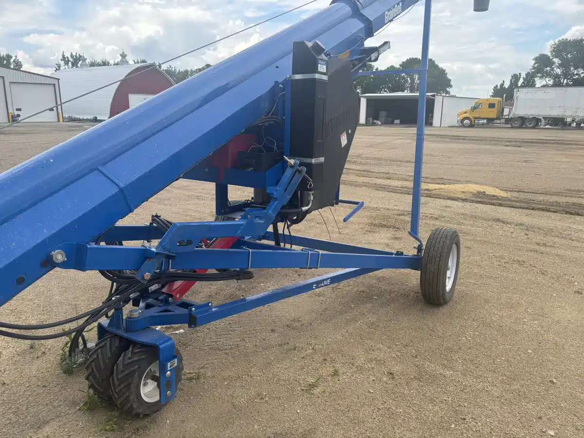 Photo de la Galerie 1 pour 2023 Brandt 1547 Vis à grain