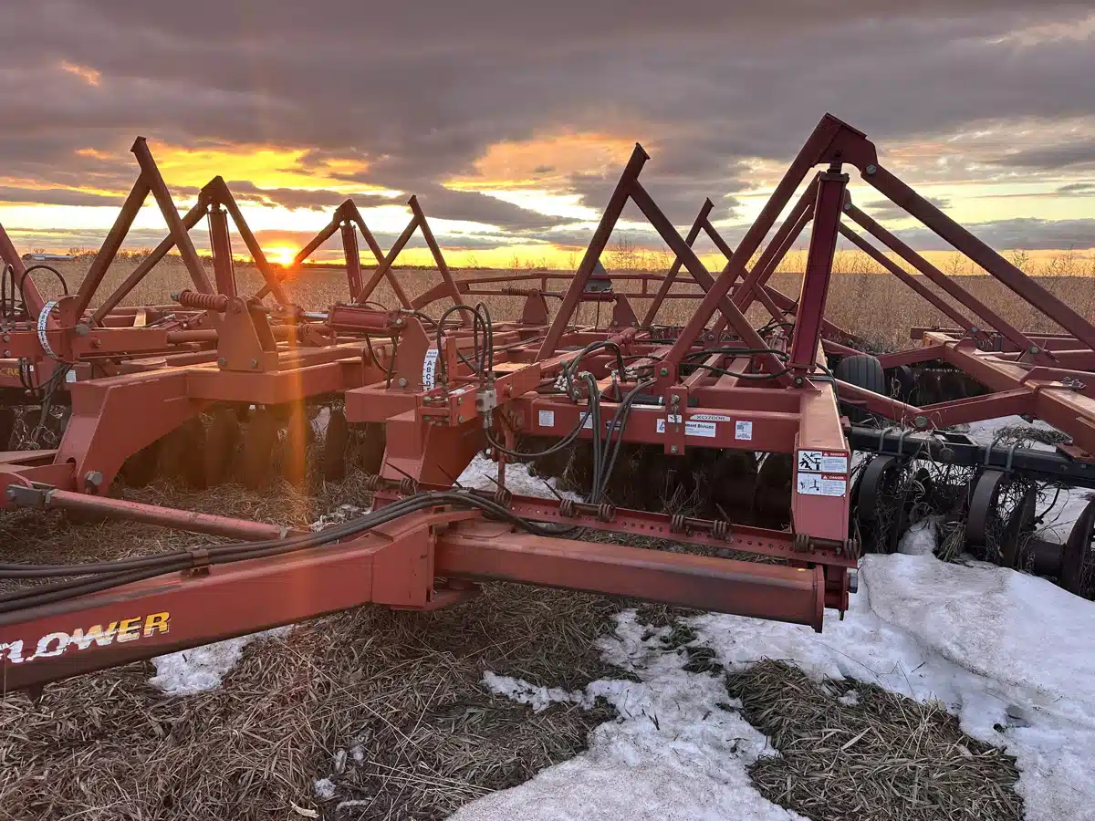 Gallery image 2 for Sunflower 1544 Disc