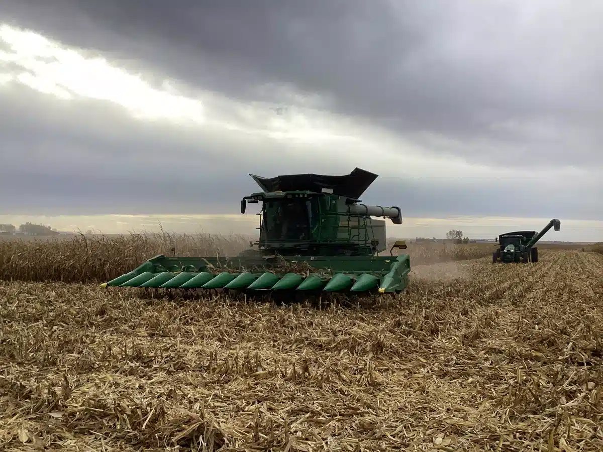 Gallery image 1 for 2025 John Deere S7 700 Combine