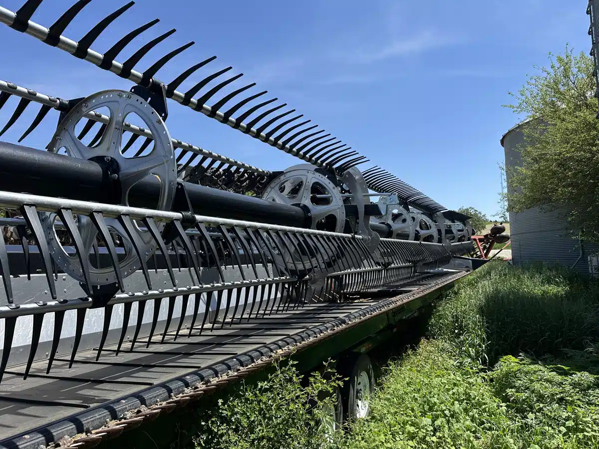 Photo de la Galerie 1 pour 2024 MacDon FD245