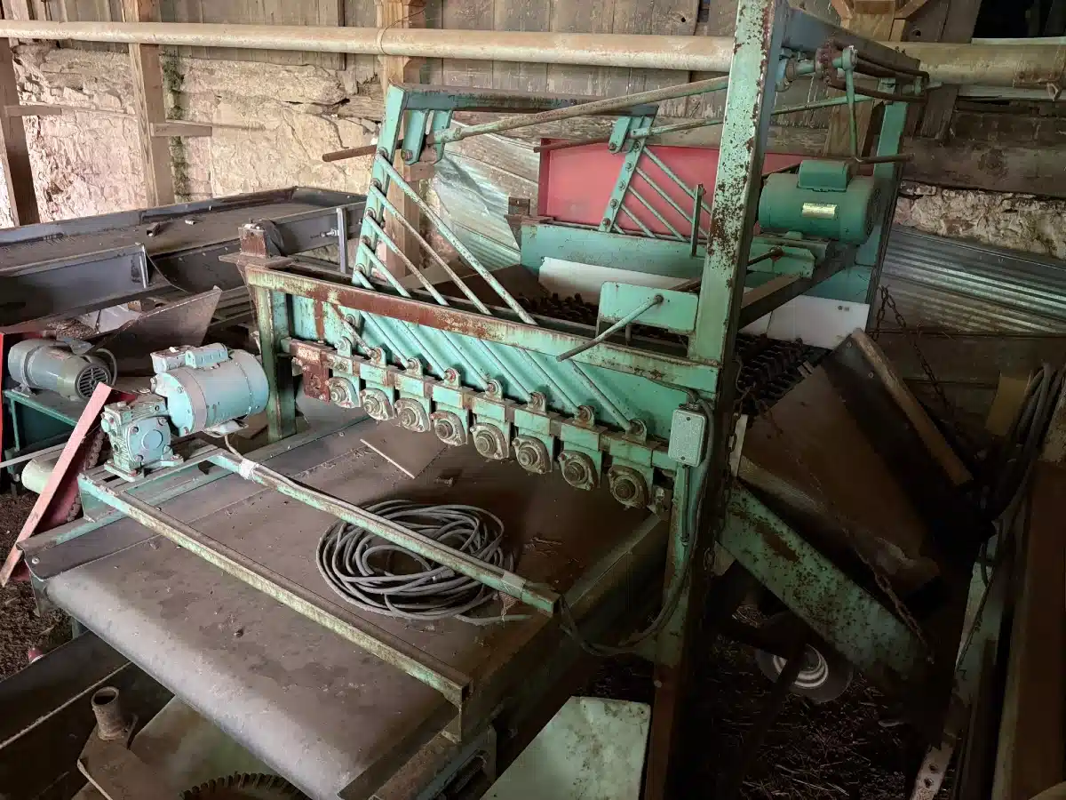 Gallery image 2 for Unspecified RCO 48" Sizing Table Potato Equipment