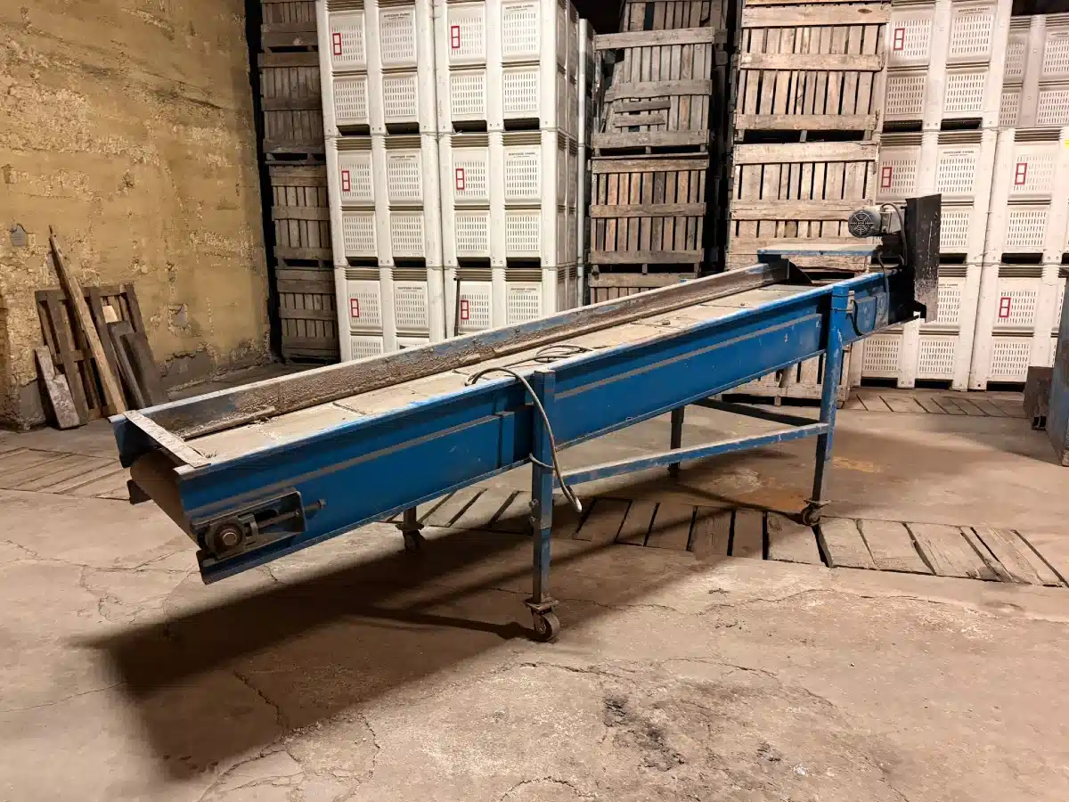 Photo de la Galerie 2 pour Alliston Machinery 14' Long x 34" Conveyor Équipement pour pommes de terre