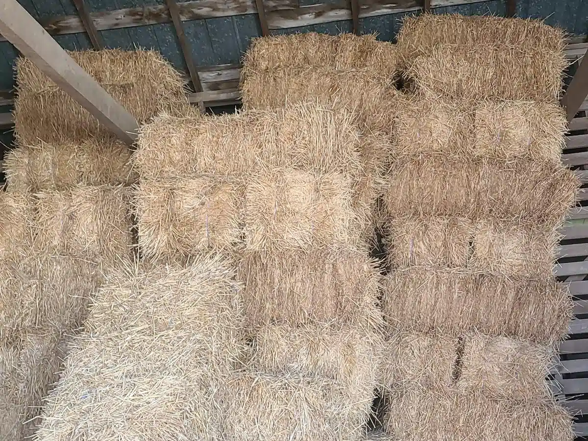 Used Small Square Bales