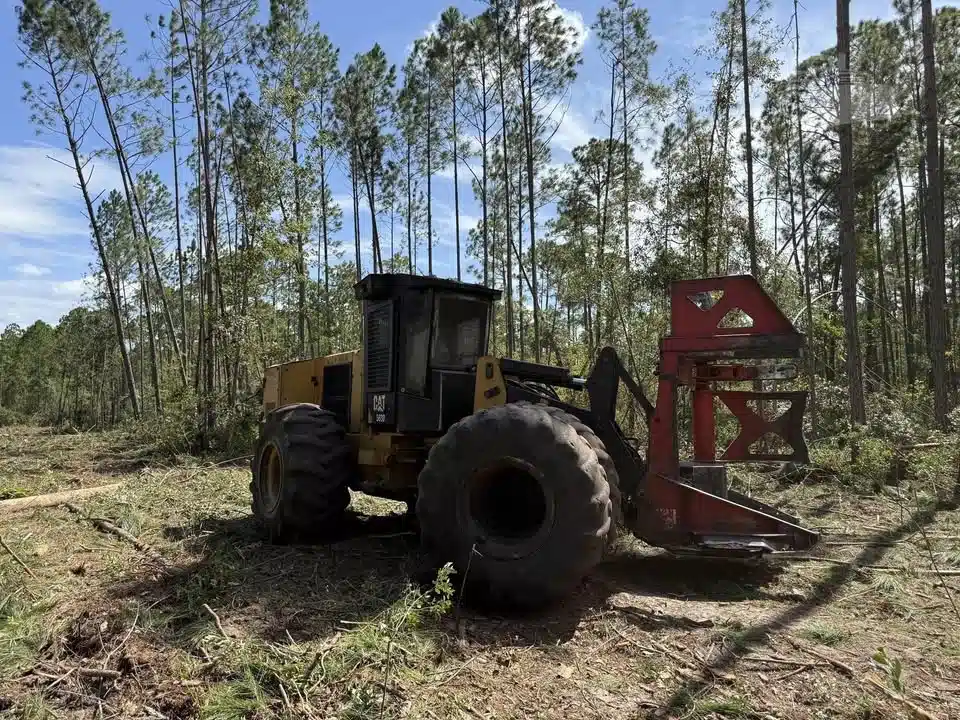 Gallery image 2 for Used 2019 Caterpillar 563D Feller Buncher