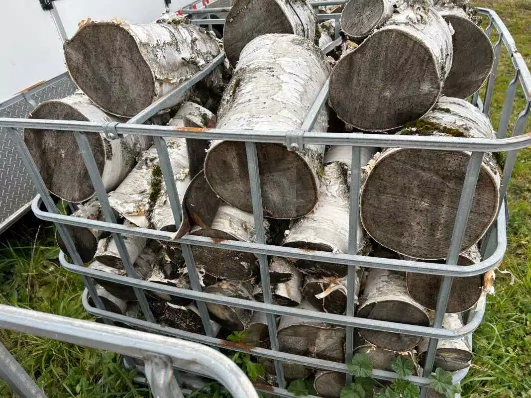 Gallery image 2 for Used Unspecified Birch logs Wood Processor