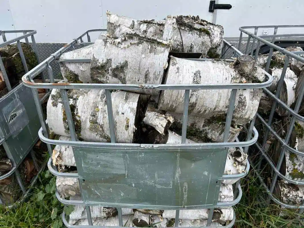 Used Unspecified Birch logs Wood Processor