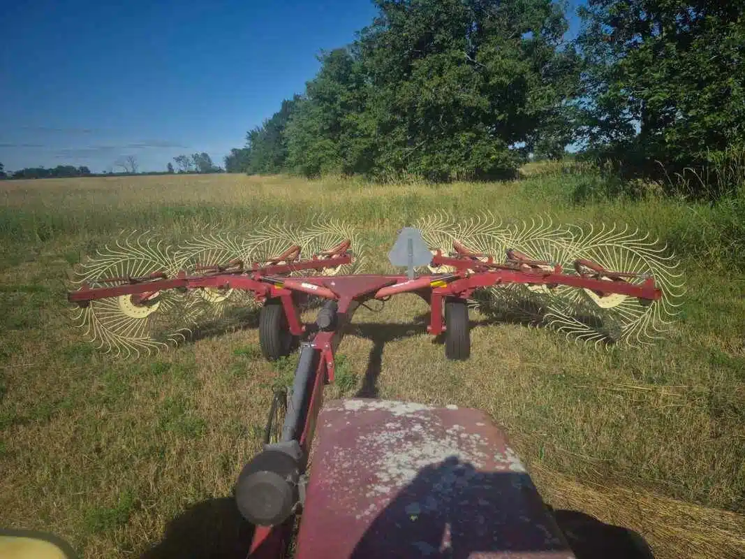 Sitrex Sitrex 8 Wheel Rake