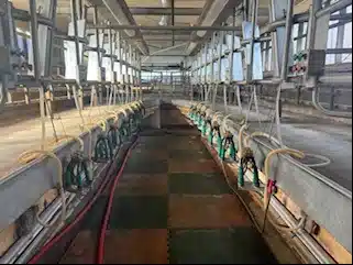 Gallery image 1 for Used GEA 2x8 Herringbone Parlour Milking Systems